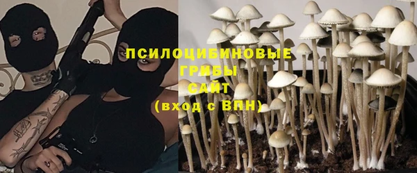 spice Балабаново